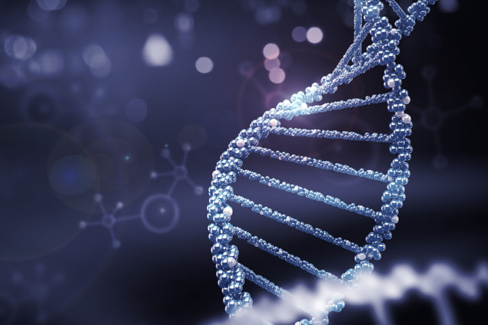 Cientistas regeneram c&eacute;lulas ciliadas que permitem a audi&ccedil;&atilde;o, se aproximando de uma terapia gen&eacute;tica para perda auditiva