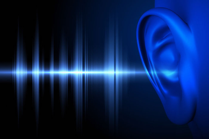 Cientistas regeneram células ciliadas que permitem a audição, se aproximando de uma terapia genética para perda auditiva