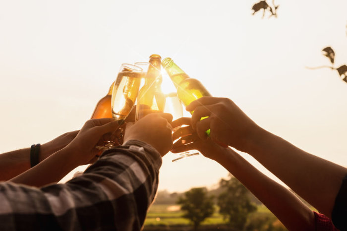Consumo excessivo de álcool no início da adolescência está associado a resultados deletérios na maturação microestrutural da substância branca