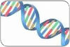 Descobertos sete novos genes envolvidos no desenvolvimento do câncer de próstata