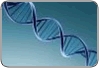 Estudo inédito identifica que 15% das mulheres têm alteração genética que aumenta em 40% o risco de câncer de ovário, segundo artigo publicado na Nature Genetics