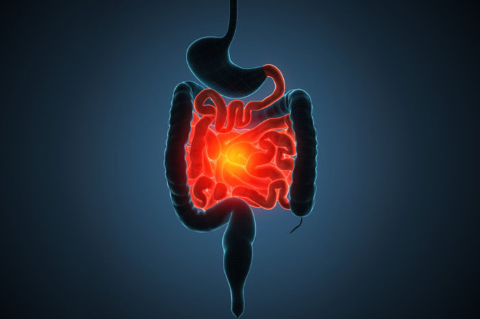 Estudo descobre mecanismo por trás da Síndrome Inflamatória Multissistêmica em Crianças (MIS-C) pós-COVID-19