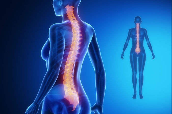 Lesão da medula espinhal pode suprimir a função imunológica