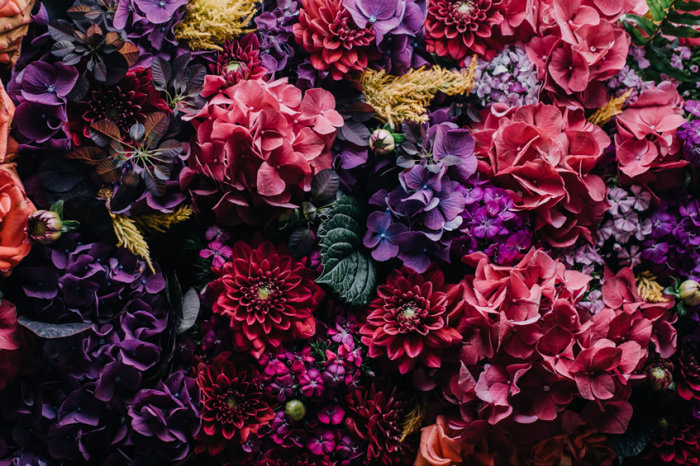 Presentear pacientes internados com flores não é uma boa opção. Em hospitais, as flores representam riscos de infecção.