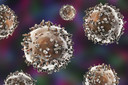 PNAS: fatores imunológicos podem desencadear o câncer associado à inflamação crônica