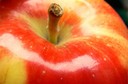 A casca da maçã possui nutrientes, antioxidantes e substâncias que evitam a proliferação de células tumorais humanas