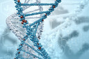 A entrega de RNAm às células empacotando o código genético dentro de uma proteína humana pode ajudar a tratar muitas doenças