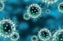 Adaptação do HIV reduz a sua virulência em populações de alta soroprevalência do vírus, publicado pelo periódico PNAS