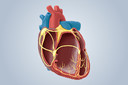 Lesão cardíaca está associada à mortalidade em pacientes hospitalizados com COVID-19 em trabalho com pacientes de Wuhan, China