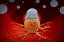 Células imunológicas T-CAR inteligentes podem matar tumores e impedir que eles voltem a crescer, de acordo com estudo em camundongos