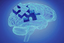 Controle da memória de trabalho se dá por acoplamento fase-amplitude de neurônios do hipocampo humano