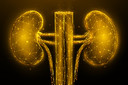 Diretrizes atualizadas para doença renal crônica promovem a cistatina C, equações de risco e inibidores de SGLT2