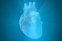 Edição genética consertou mutação que causa cardiomiopatia hipertrófica, condição que pode causar morte súbita