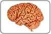 Mal de Parkinson: estimulação elétrica da medula espinhal pode ajudar no tratamento, segundo pesquisa de cientista brasileiro publicada na Science