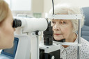 Estratégia experimental visa tratar a perda de visão no glaucoma guiando células-tronco para a retina