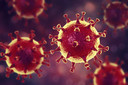 Estudo mostra como o novo coronavírus entra no tecido respiratório e pode explorar as defesas