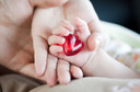 Hepatite B antes da gravidez foi associada a cardiopatias congênitas em bebês