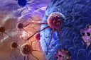 Neurônios nociceptores afetam a imunovigilância do câncer