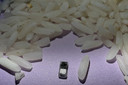 Novo modelo de marca-passo é o menor do mundo, do tamanho de um grão de arroz, e é ativado pela luz