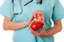 Transplante renal sem imunossupressão por toda a vida se aproxima da realidade